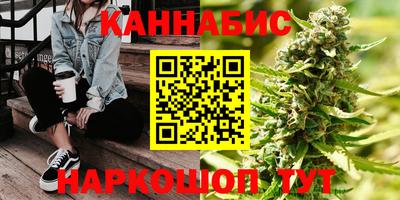 индика Комсомольск-на-Амуре